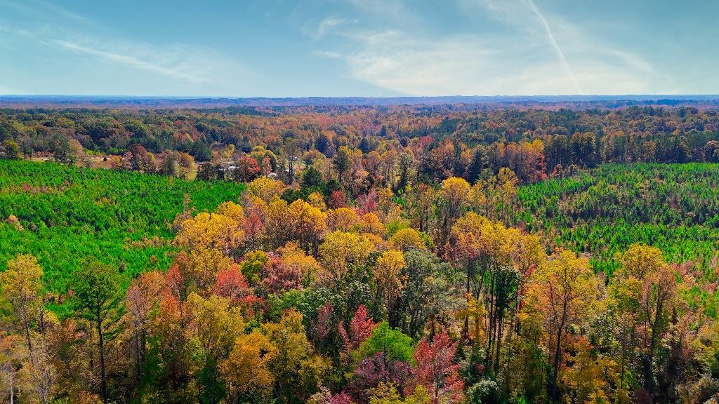 5 Ferrell Road Middleton, TN 38052 - Photo 10 of 14 Drone / aerial view