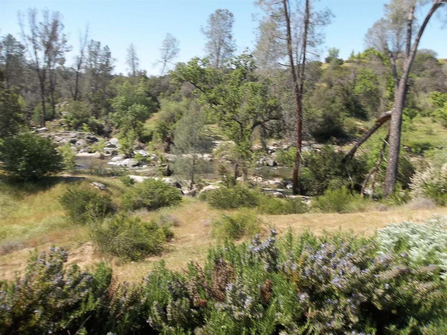 34504 Polk Ranch Road Coarsegold, CA 93614 - Photo 24 of 43 Gallery Image 24