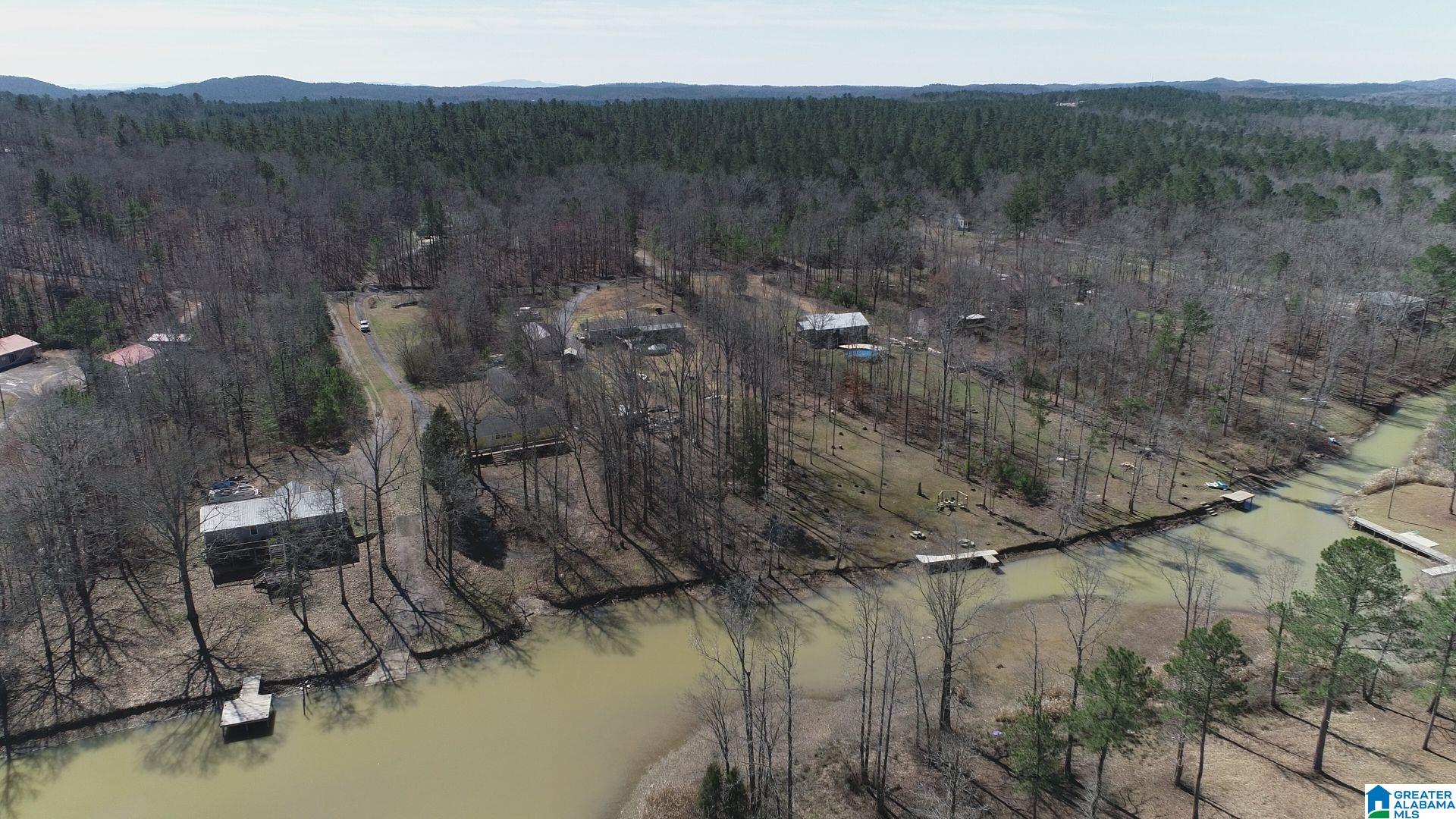 475 Crawfish Lane Ragland, AL 35131 - Photo 2 of 24