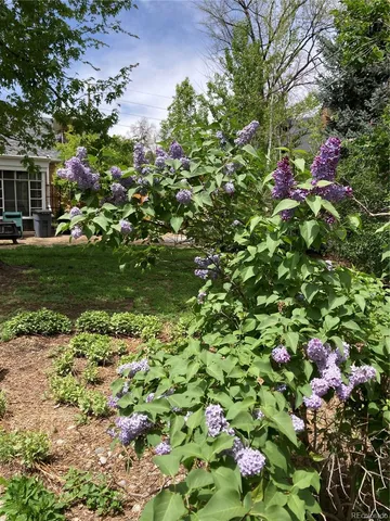 $649,000 | 1680 Magnolia Street, Denver, CO 80220