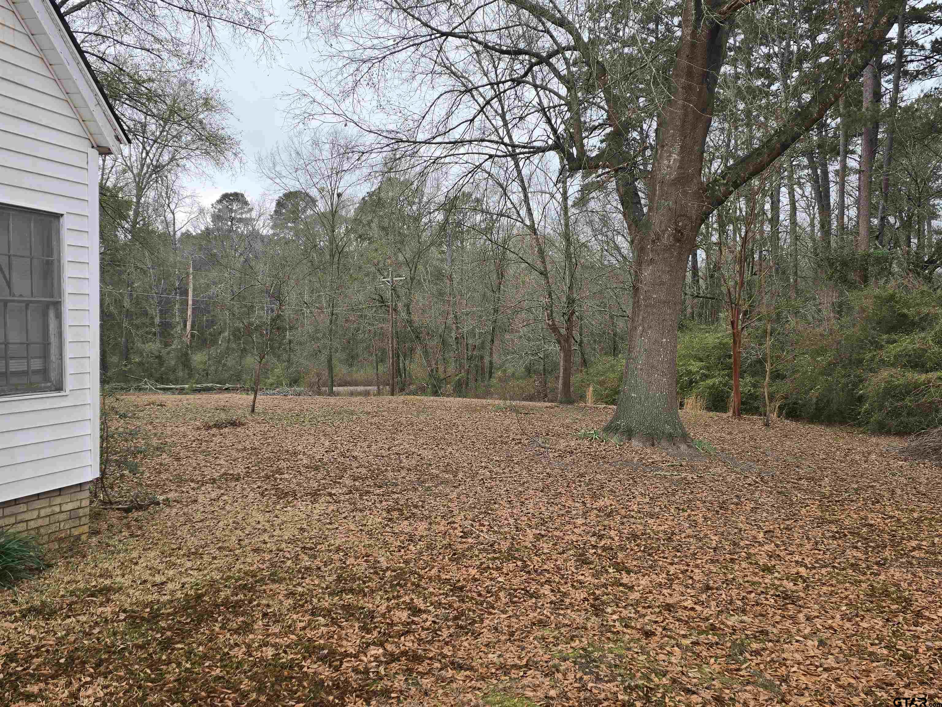 2512 Iron Road Diana, TX 75640 - Photo 6 of 17