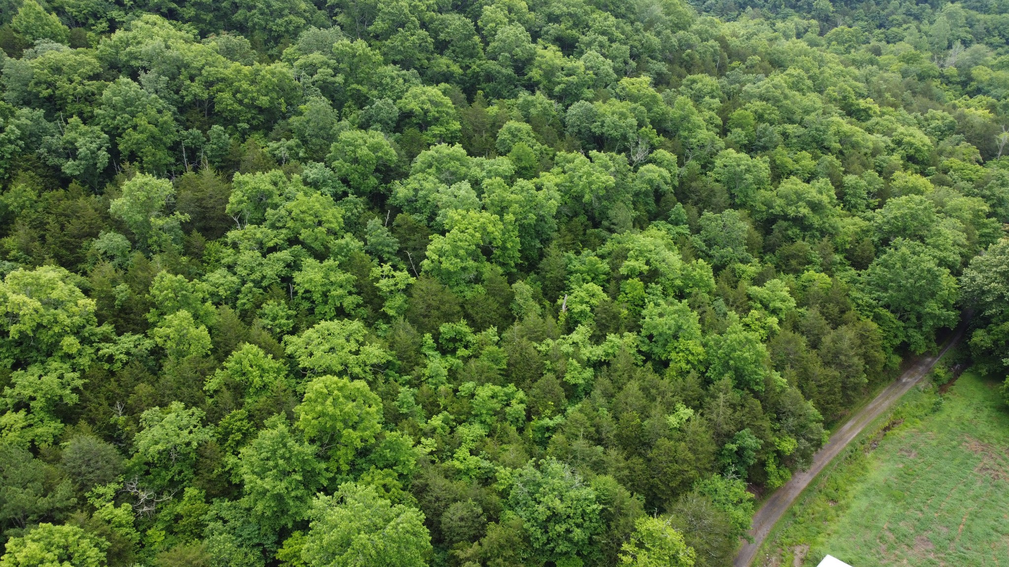 32 Patterson Lane Pleasant Shade, TN 37145 - Photo 2 of 33