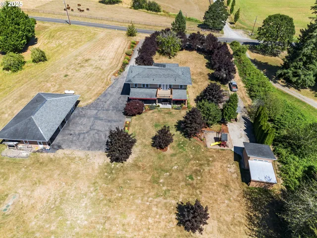 a black and white photo of a picture