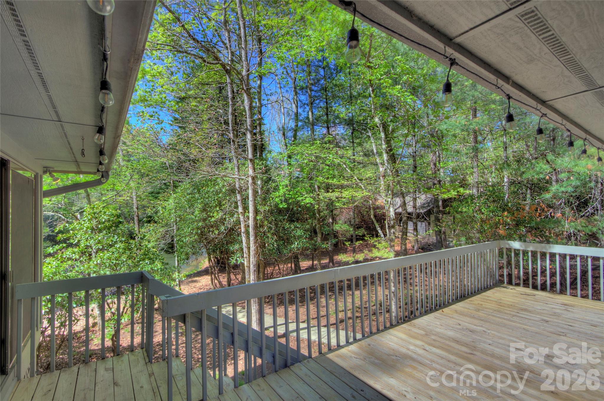 960 Middle Connestee Trail Brevard, NC 28712 - Photo 8 of 44