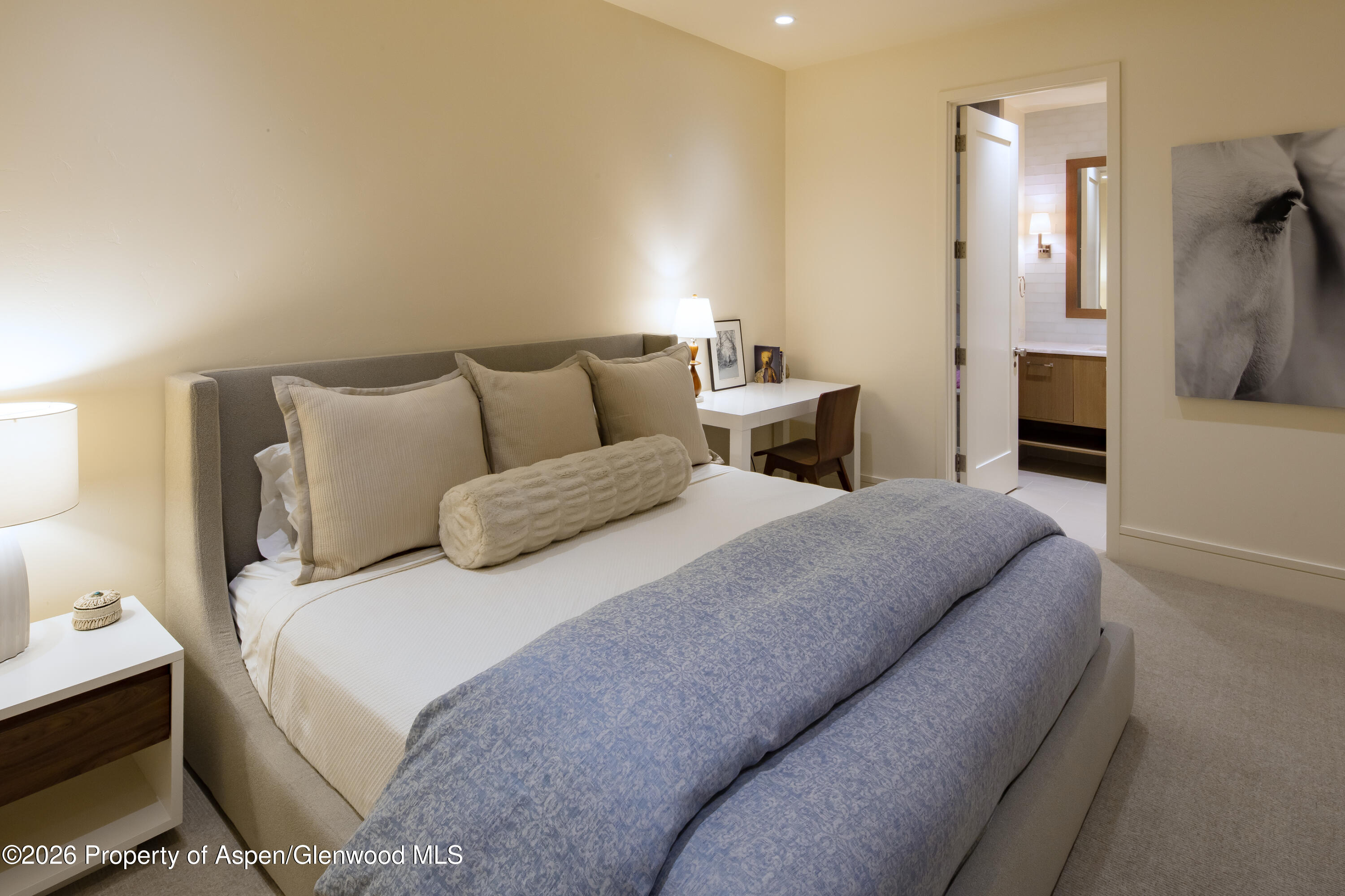 523 Walnut Street, Unit A Aspen, CO 81611 - Photo 19 of 31 108A3568