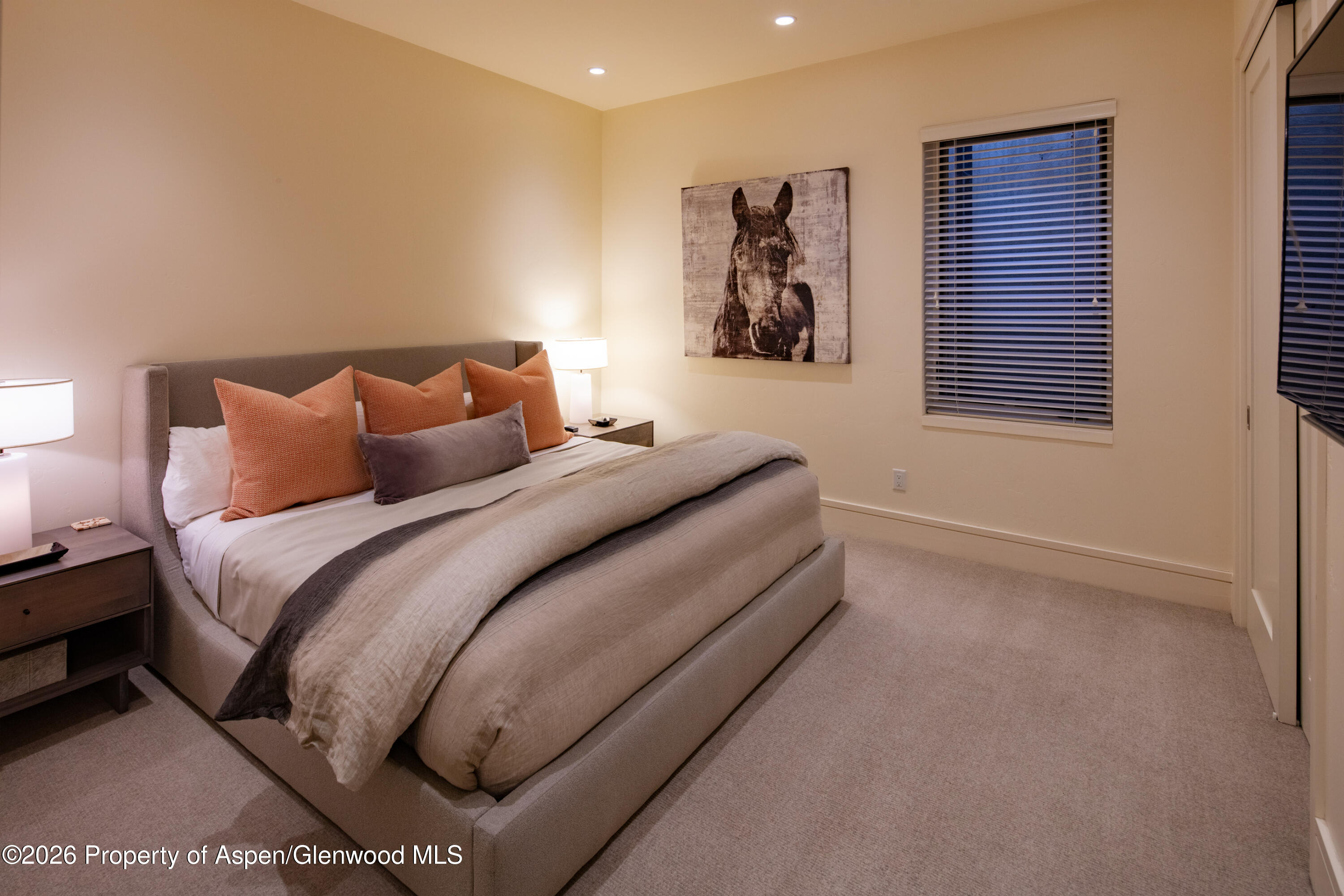 523 Walnut Street, Unit A Aspen, CO 81611 - Photo 21 of 31 108A3392