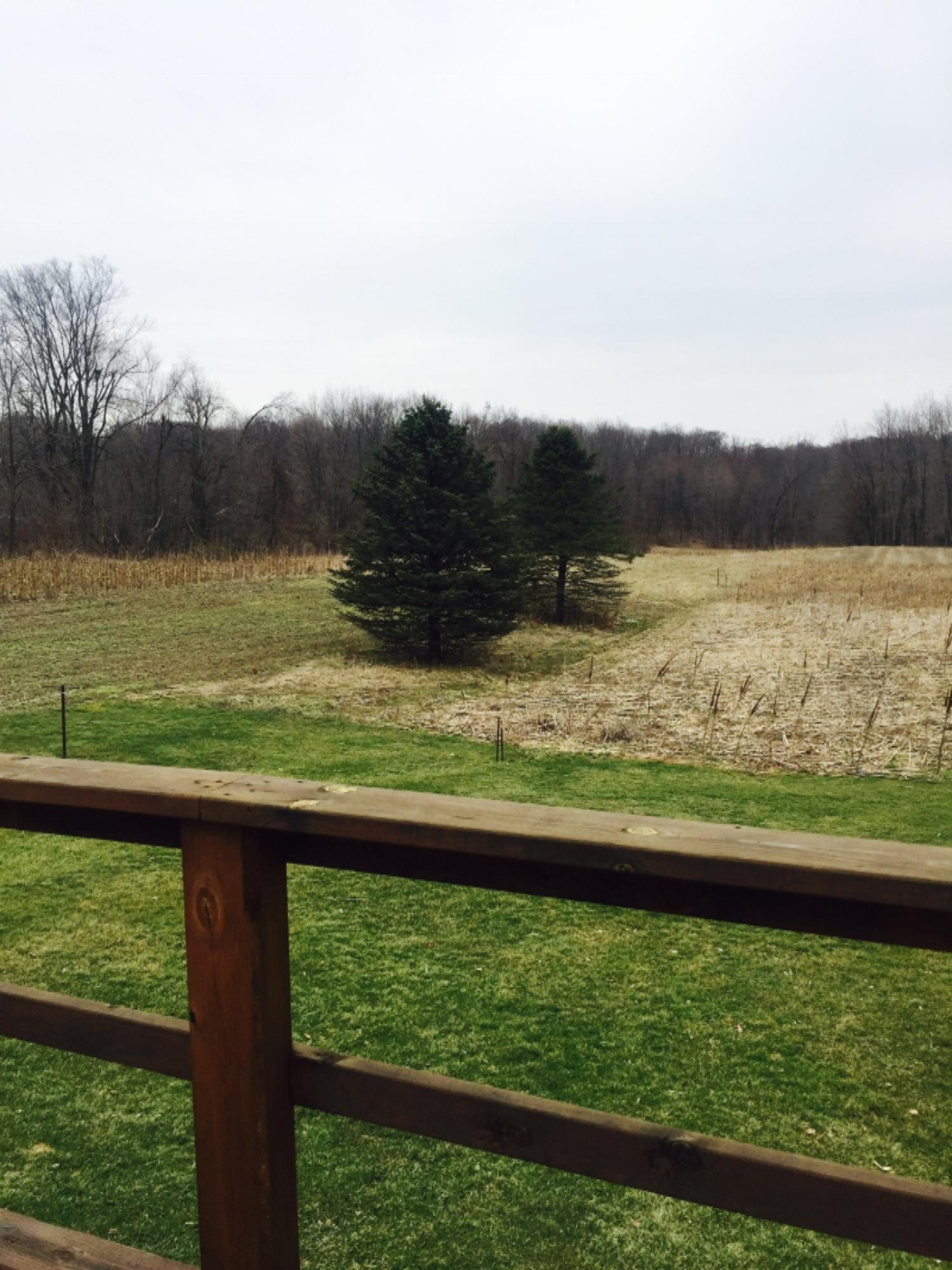 4321 Cooper Road Dowling, MI 49050 - Photo 26 of 42 IMG_0002