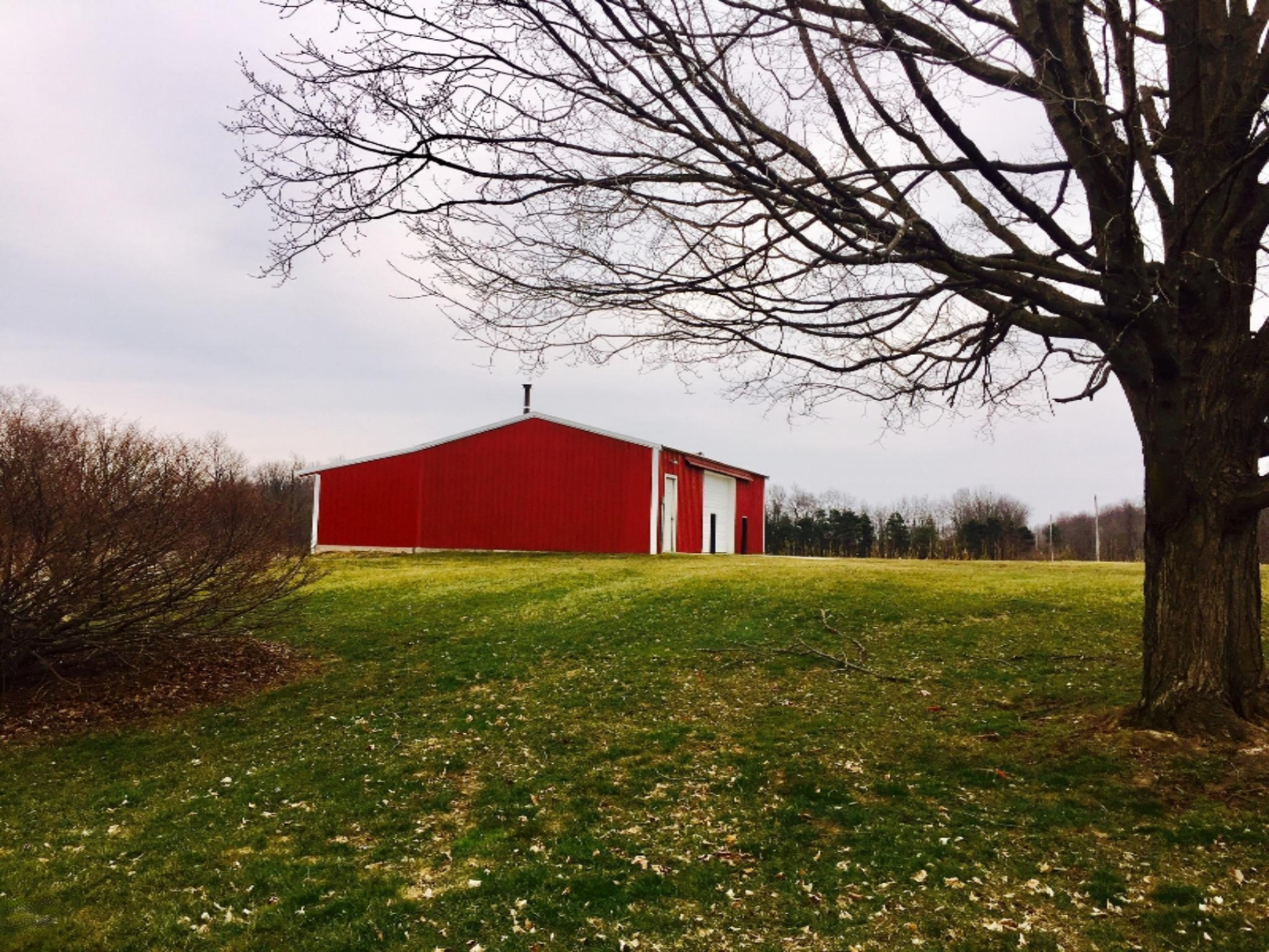 4321 Cooper Road Dowling, MI 49050 - Photo 37 of 42 IMG_0041