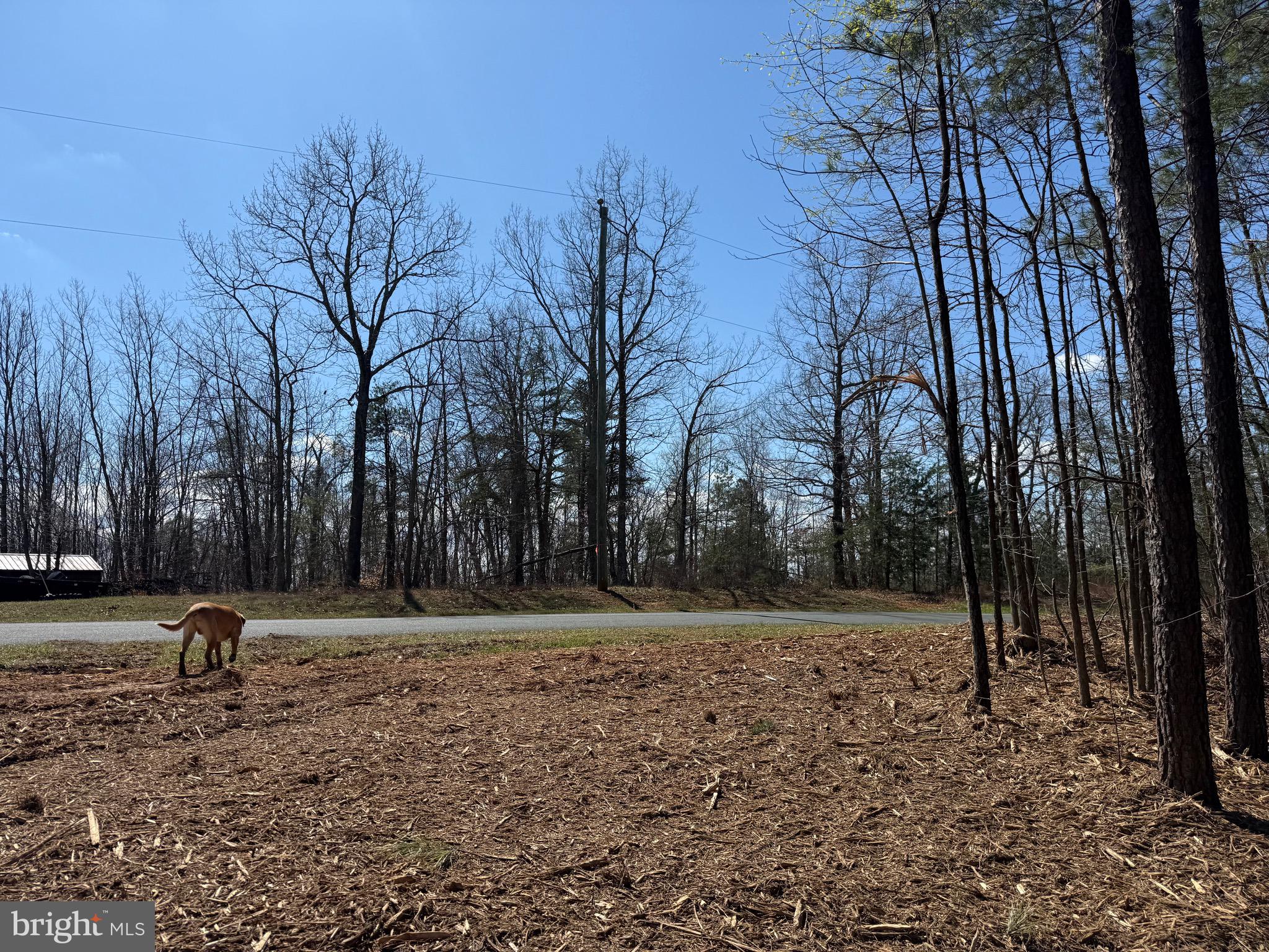 Lot C Mountain Cut Road Appomattox, VA 24522 - Photo 11 of 25 a backyard of a house with lots of green space