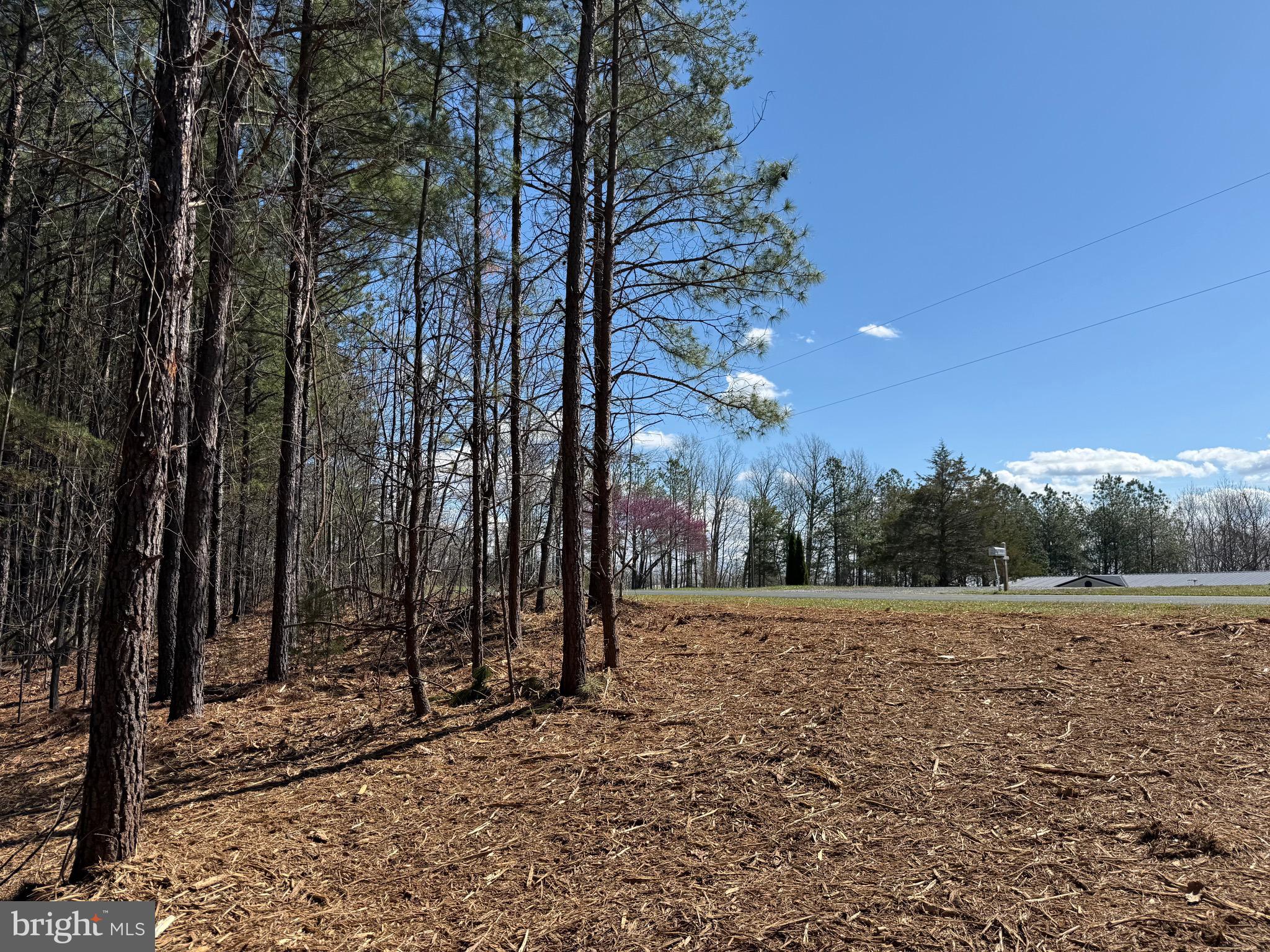 Lot C Mountain Cut Road Appomattox, VA 24522 - Photo 12 of 25 a view of a field with trees in the background