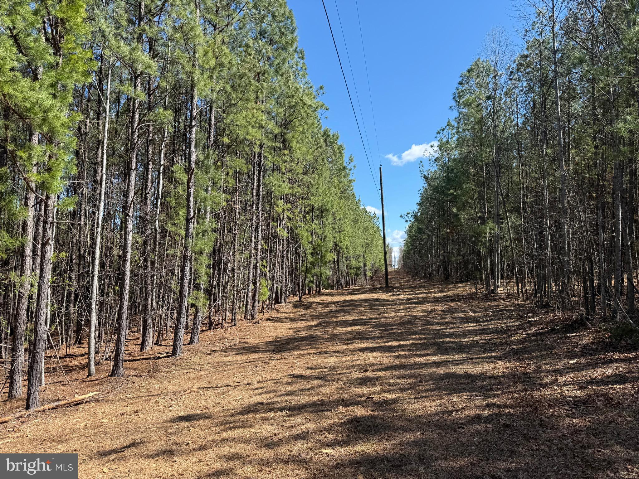 Lot C Mountain Cut Road Appomattox, VA 24522 - Photo 16 of 25 a view of a backyard of the house