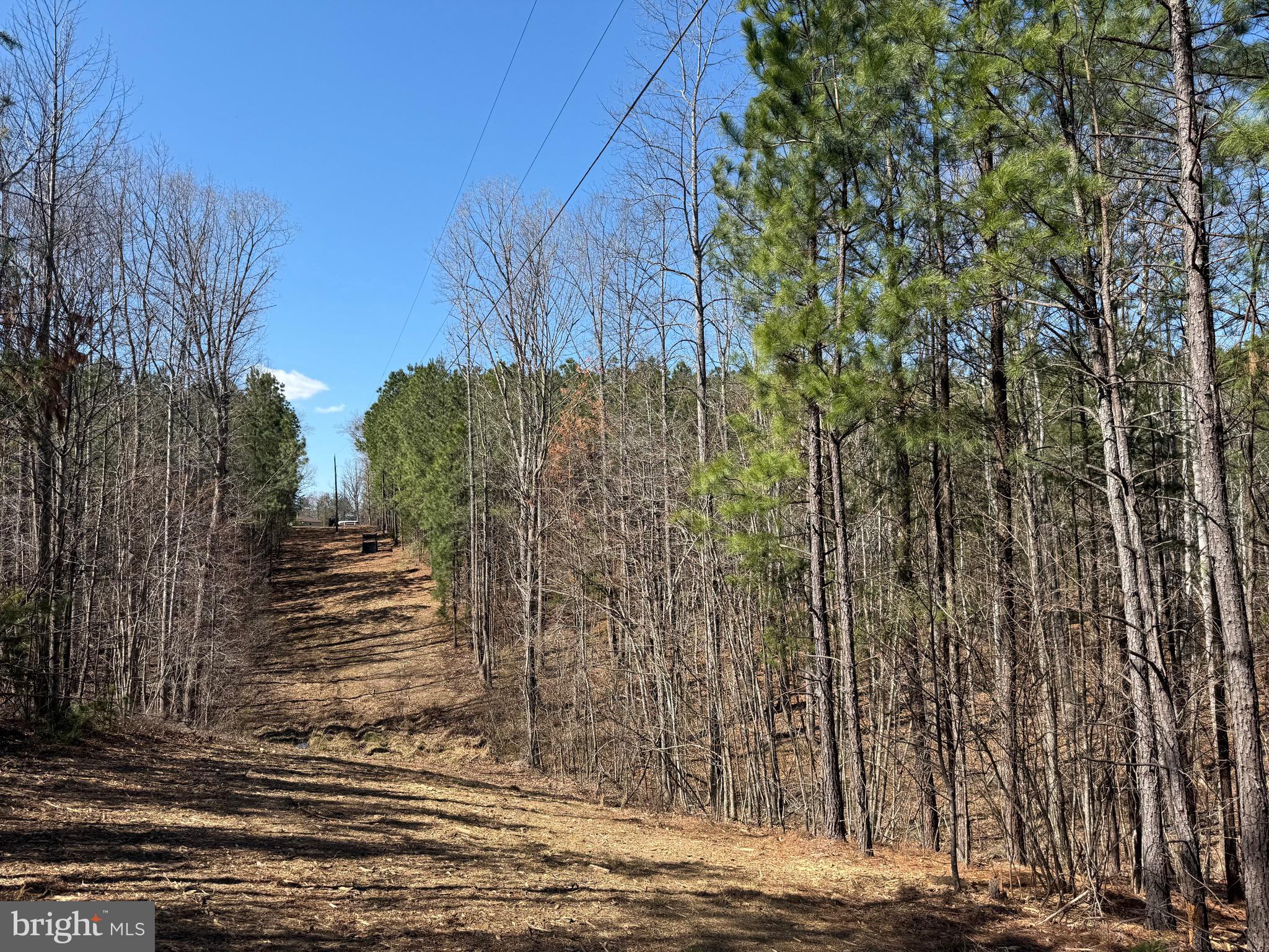 Lot C Mountain Cut Road Appomattox, VA 24522 - Photo 17 of 25 a view of a pathway both side of building