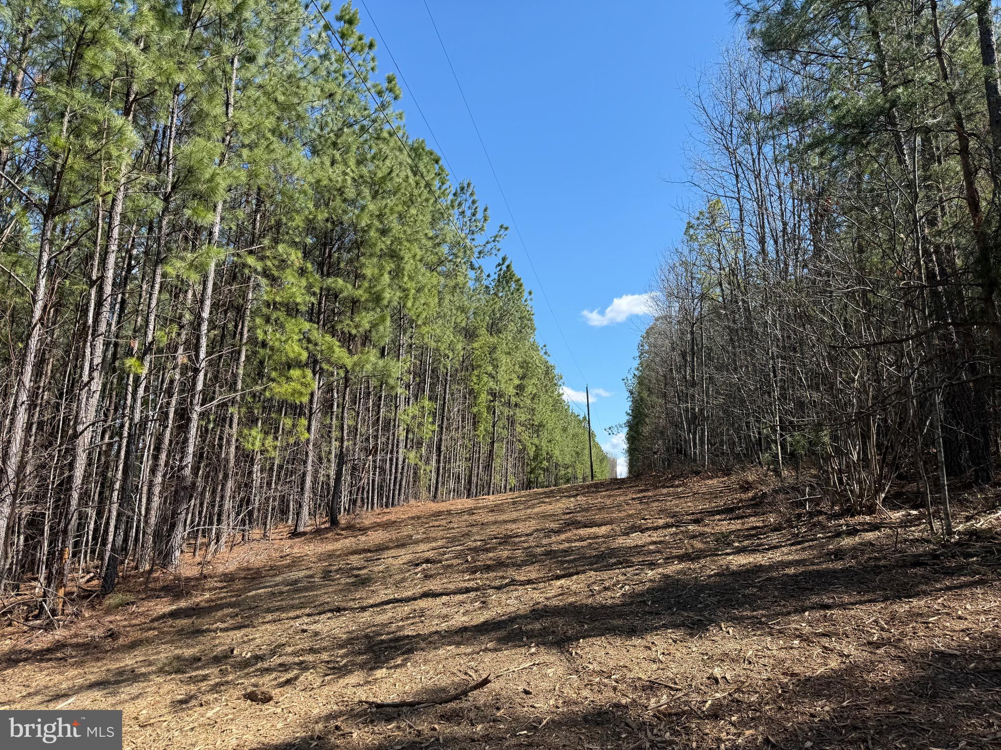 Lot C Mountain Cut Road Appomattox, VA 24522 - Photo 18 of 25 a view of a backyard of a house