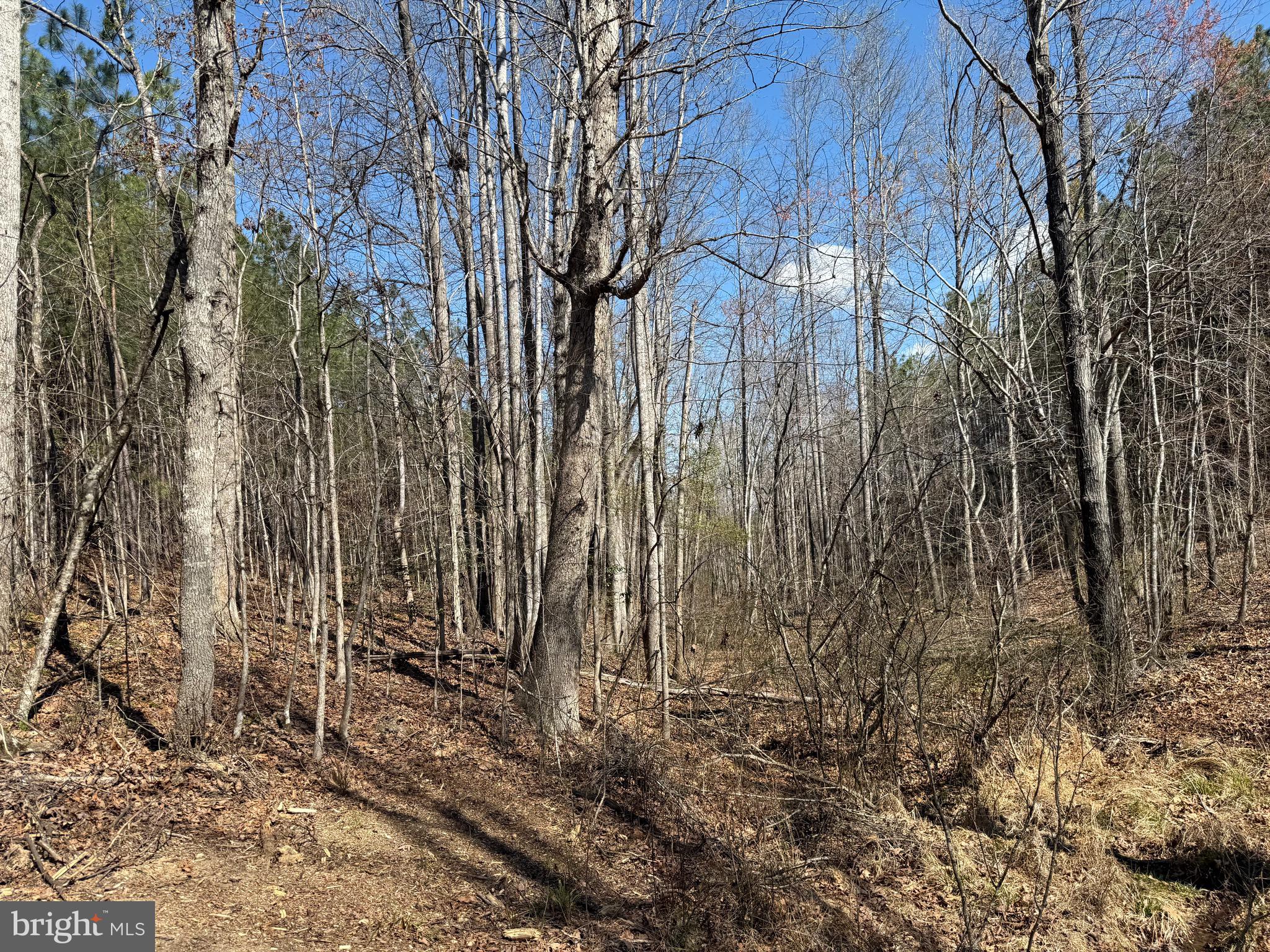 Lot C Mountain Cut Road Appomattox, VA 24522 - Photo 19 of 25 a view of a backyard of the house