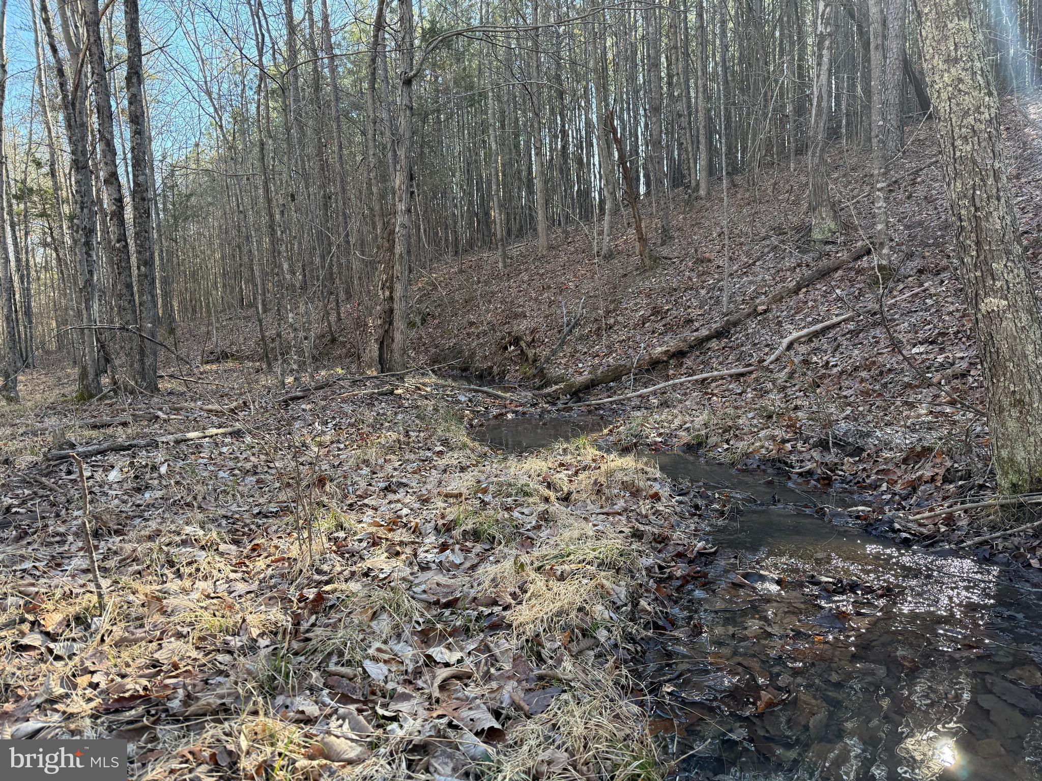 Lot C Mountain Cut Road Appomattox, VA 24522 - Photo 23 of 25 a view of a yard with trees in the background