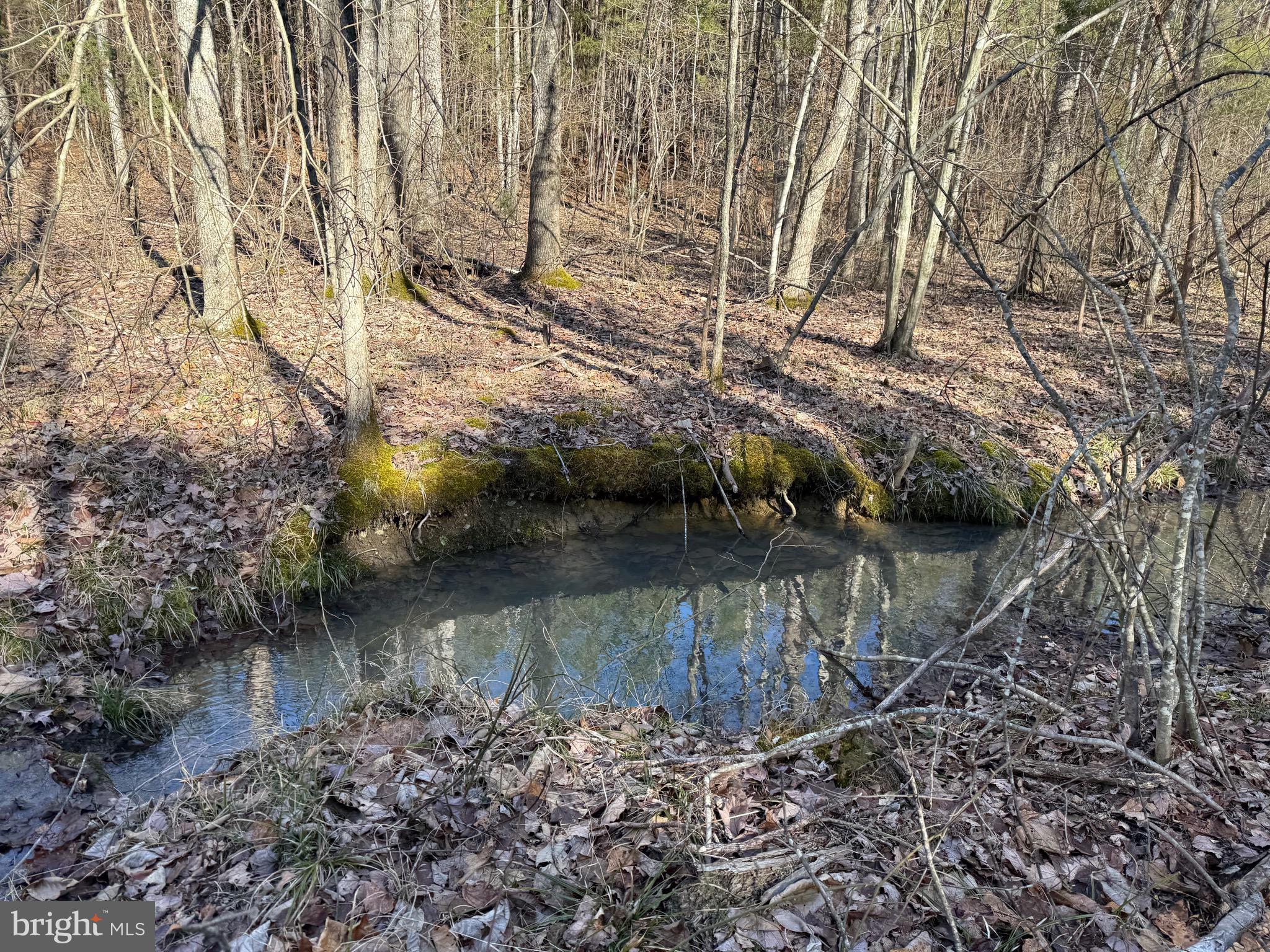 Lot C Mountain Cut Road Appomattox, VA 24522 - Photo 24 of 25 a view of lake with green space