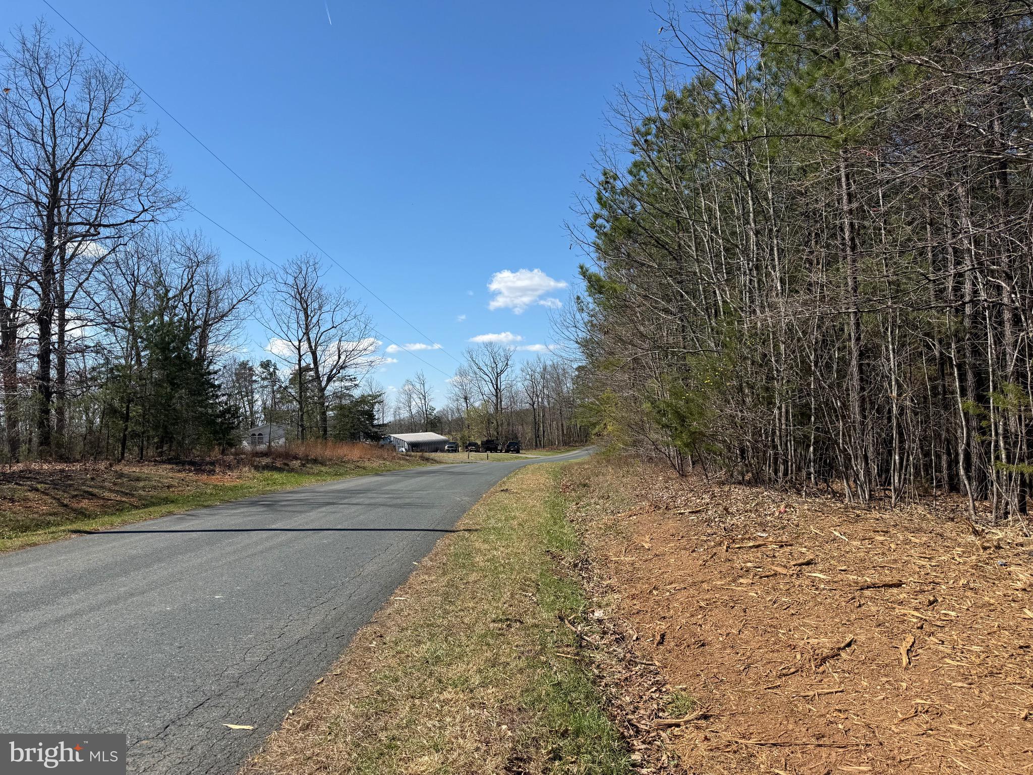 Lot C Mountain Cut Road Appomattox, VA 24522 - Photo 3 of 25 a view of a yard with large trees