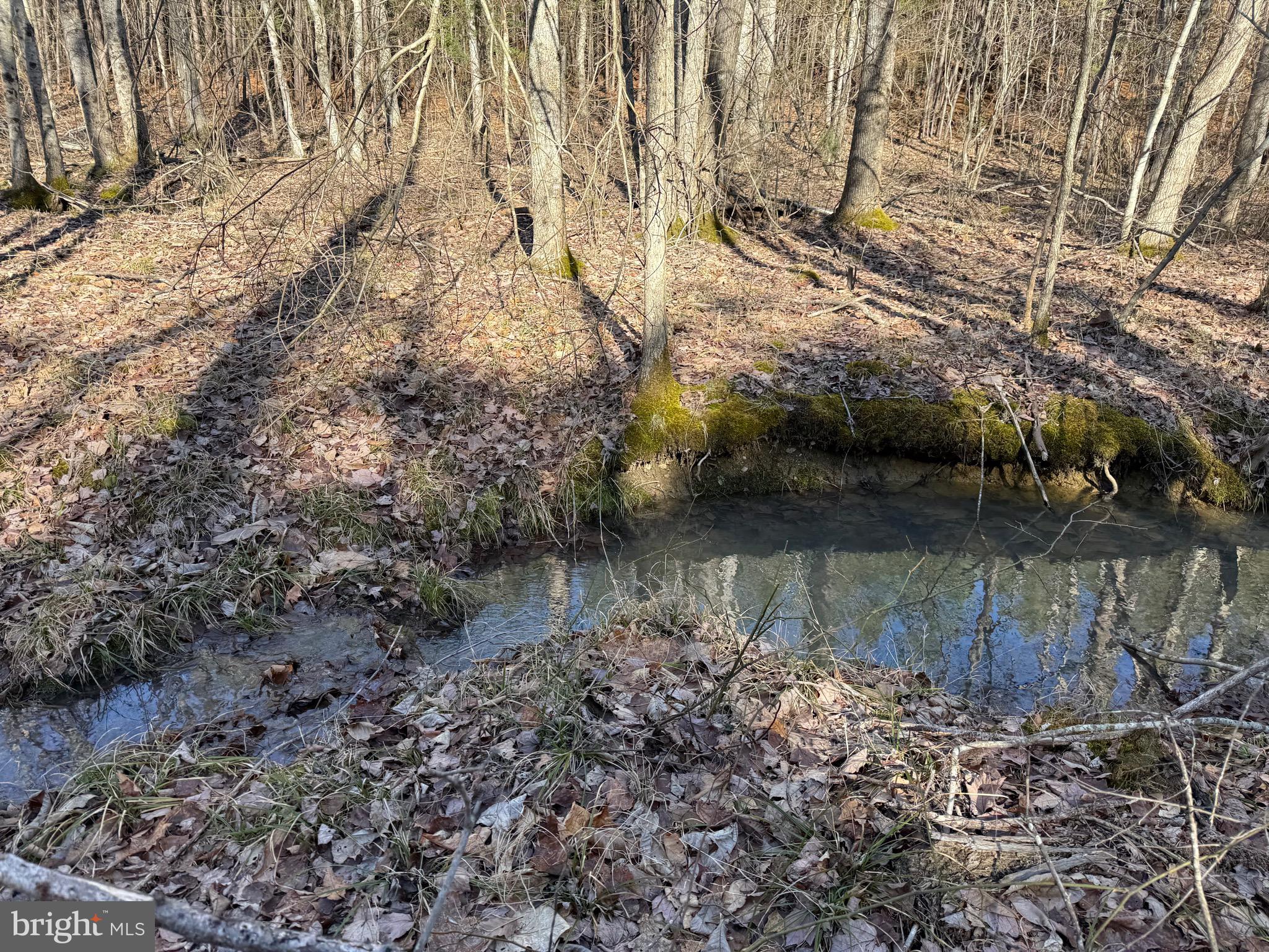 Lot C Mountain Cut Road Appomattox, VA 24522 - Photo 6 of 25 a view of a lake with lots of bushes