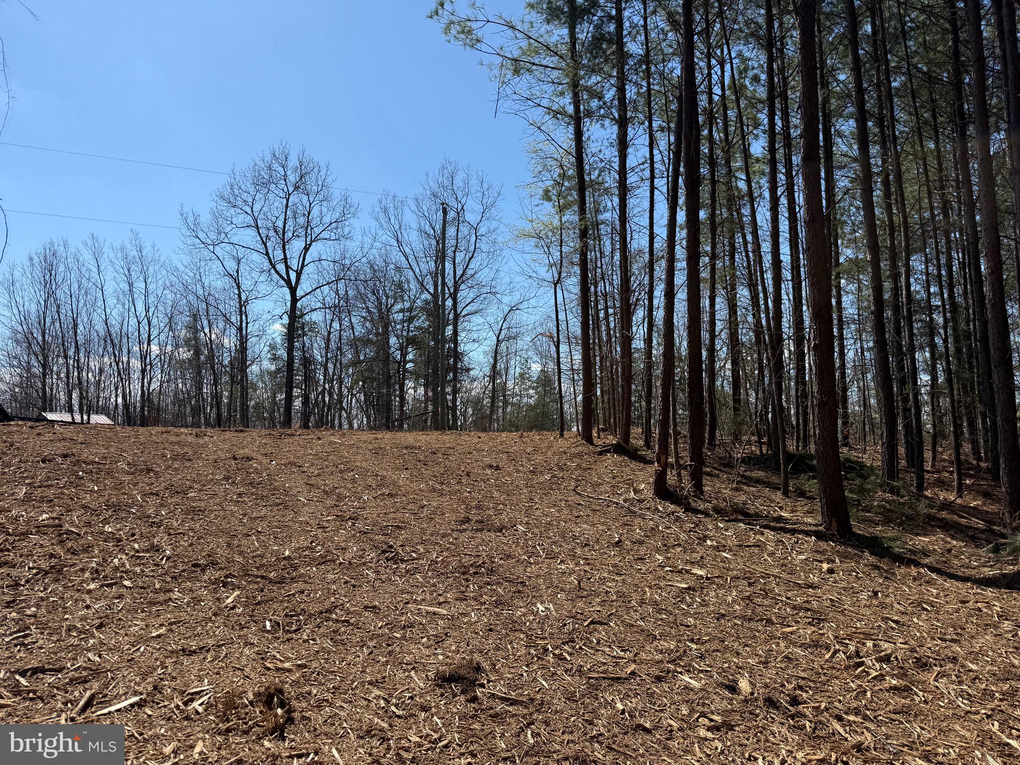 Lot C Mountain Cut Road Appomattox, VA 24522 - Photo 7 of 25 a view of a backyard of the house