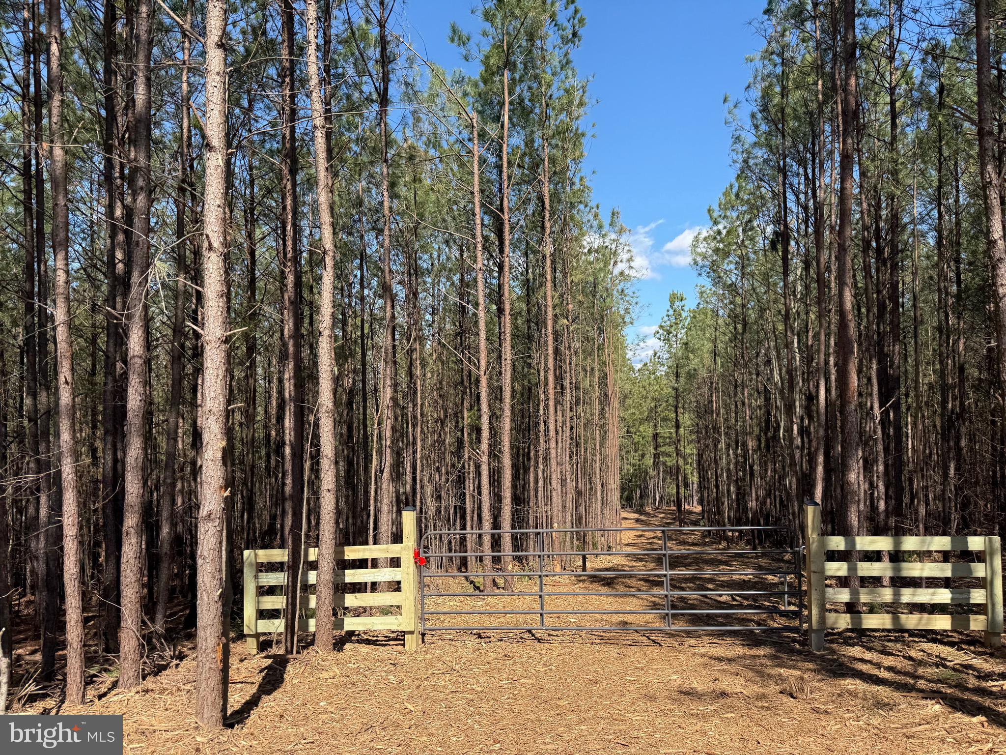 Lot C Mountain Cut Road Appomattox, VA 24522 - Photo 8 of 25 a view of outdoor space with deck