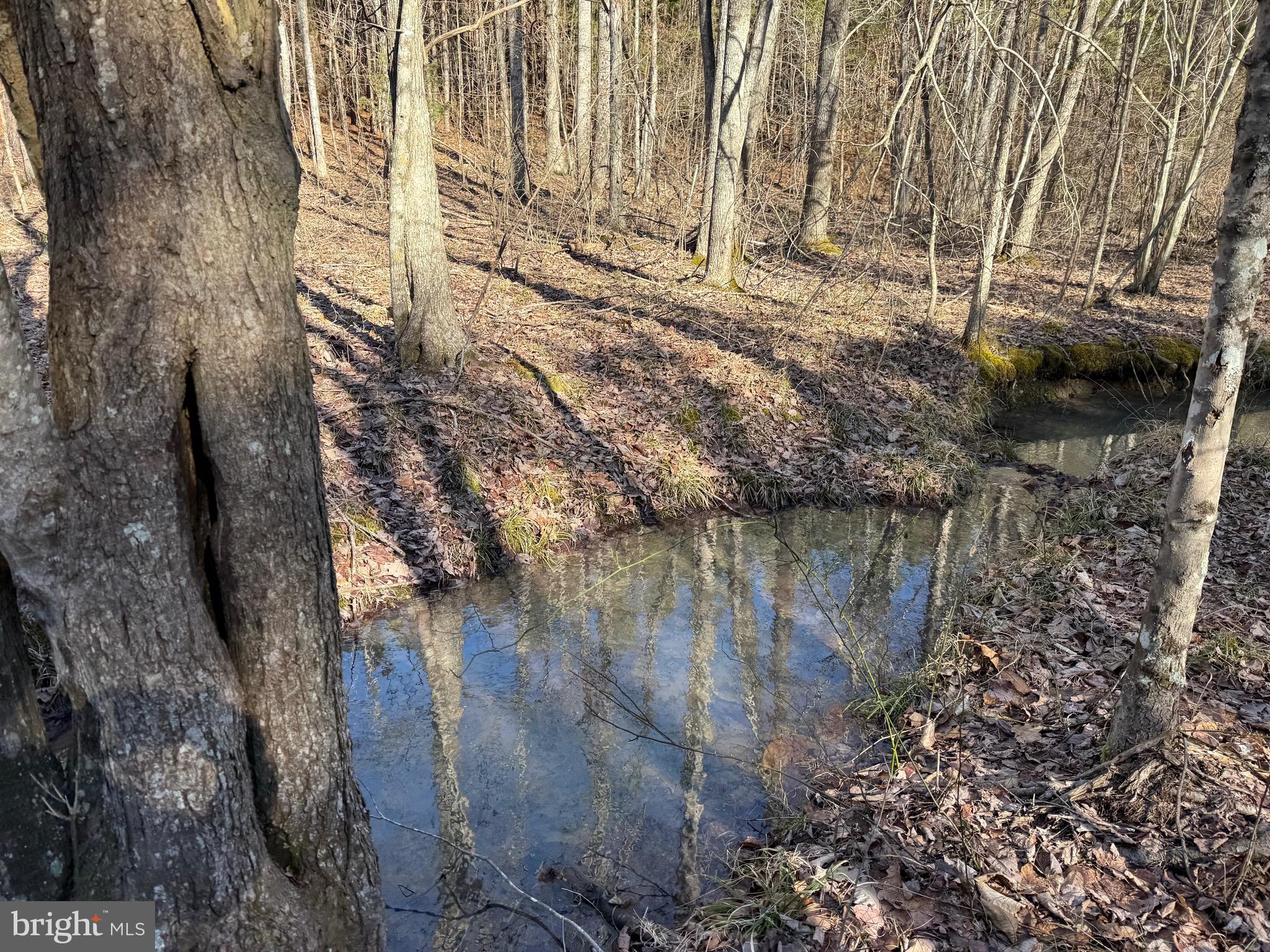 Lot C Mountain Cut Road Appomattox, VA 24522 - Photo 10 of 25 a view of fountain in the forest