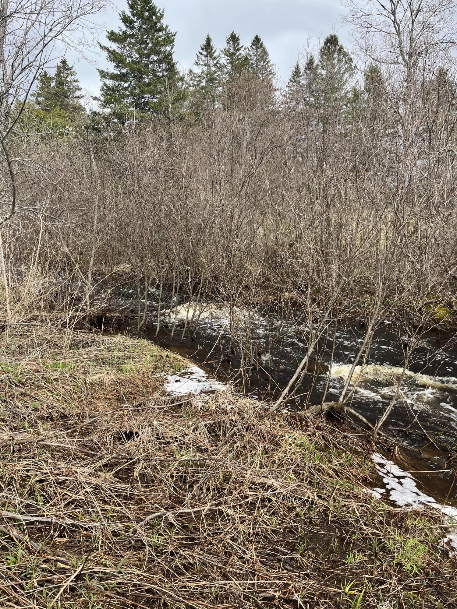 M2-l12w Bangor Road Wytopitlock, ME 04497 - Photo 7 of 7 IMG_4238