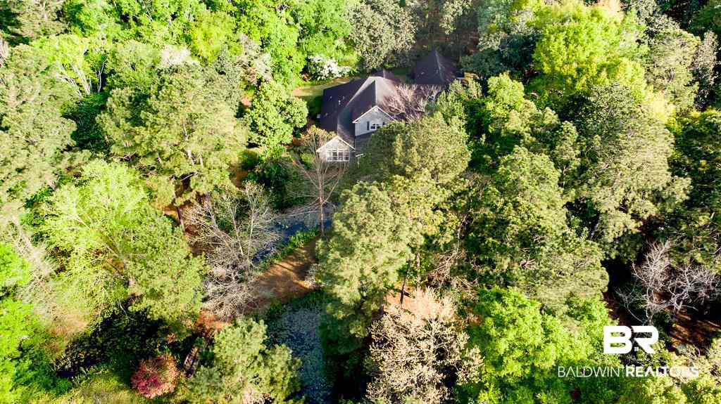 3360 Riverview Pointe Drive Theodore, AL 36582 - Photo 3 of 46