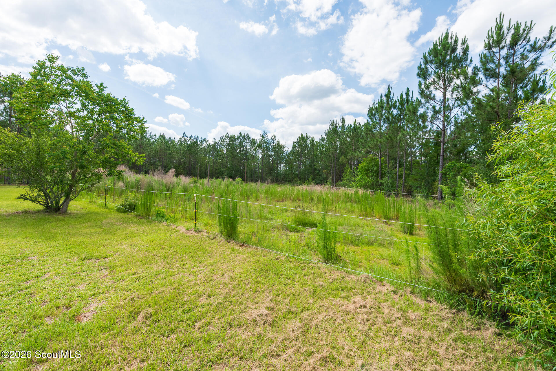 2559 Tabby Rd-224