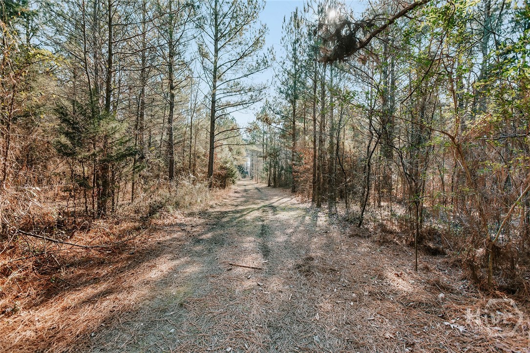 716 Steven's Grove Church Road Lexington, GA 30648 - Photo 34 of 47