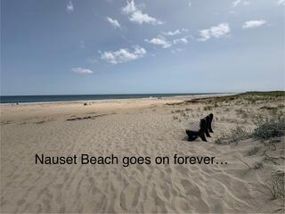 47 Daleys Terrace Orleans, MA 02653 - Photo 22 of 37 Nauset Beach Photo
