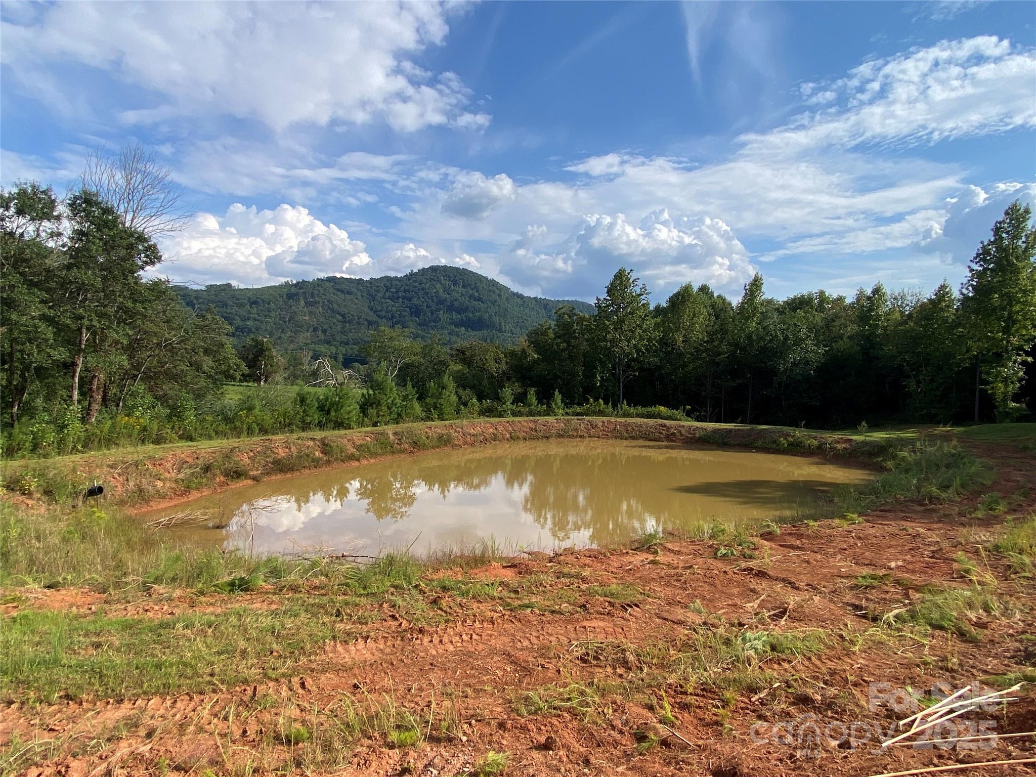 1180 Calton Road Bostic, NC 28018 - Photo 36 of 36 a view of a swimming pool with a yard