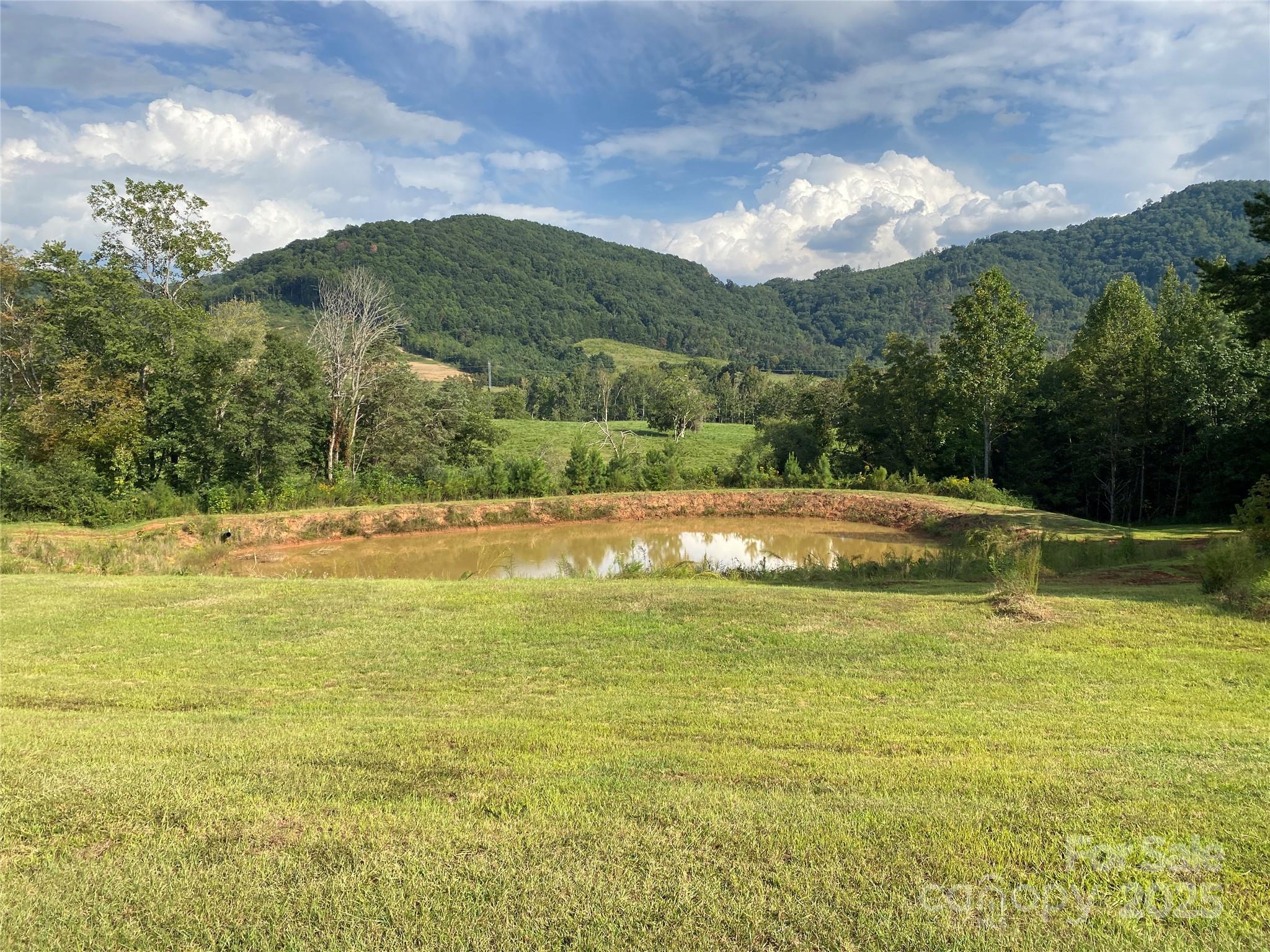 1180 Calton Road Bostic, NC 28018 - Photo 5 of 36 a view of a lake with a mountain
