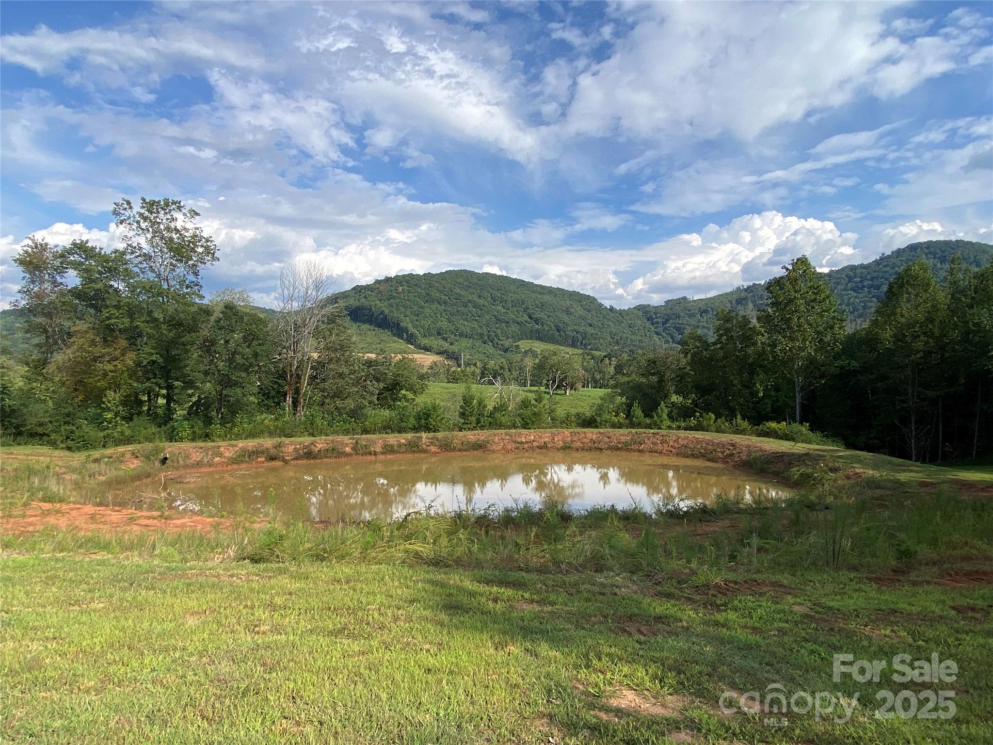 1180 Calton Road Bostic, NC 28018 - Photo 6 of 36 a view of outdoor space and lake view
