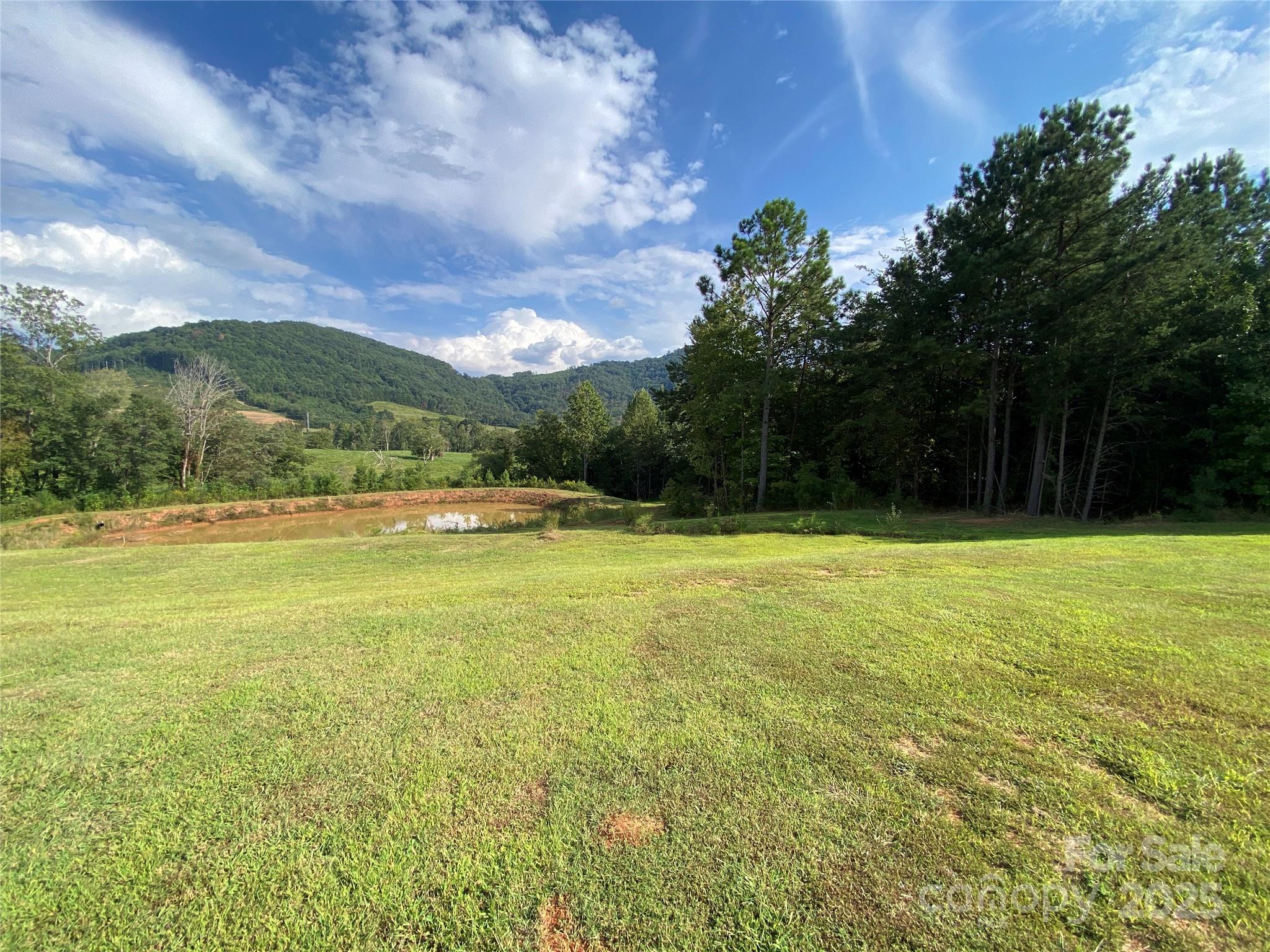 1180 Calton Road Bostic, NC 28018 - Photo 7 of 36 a view of yard with swimming pool and green space