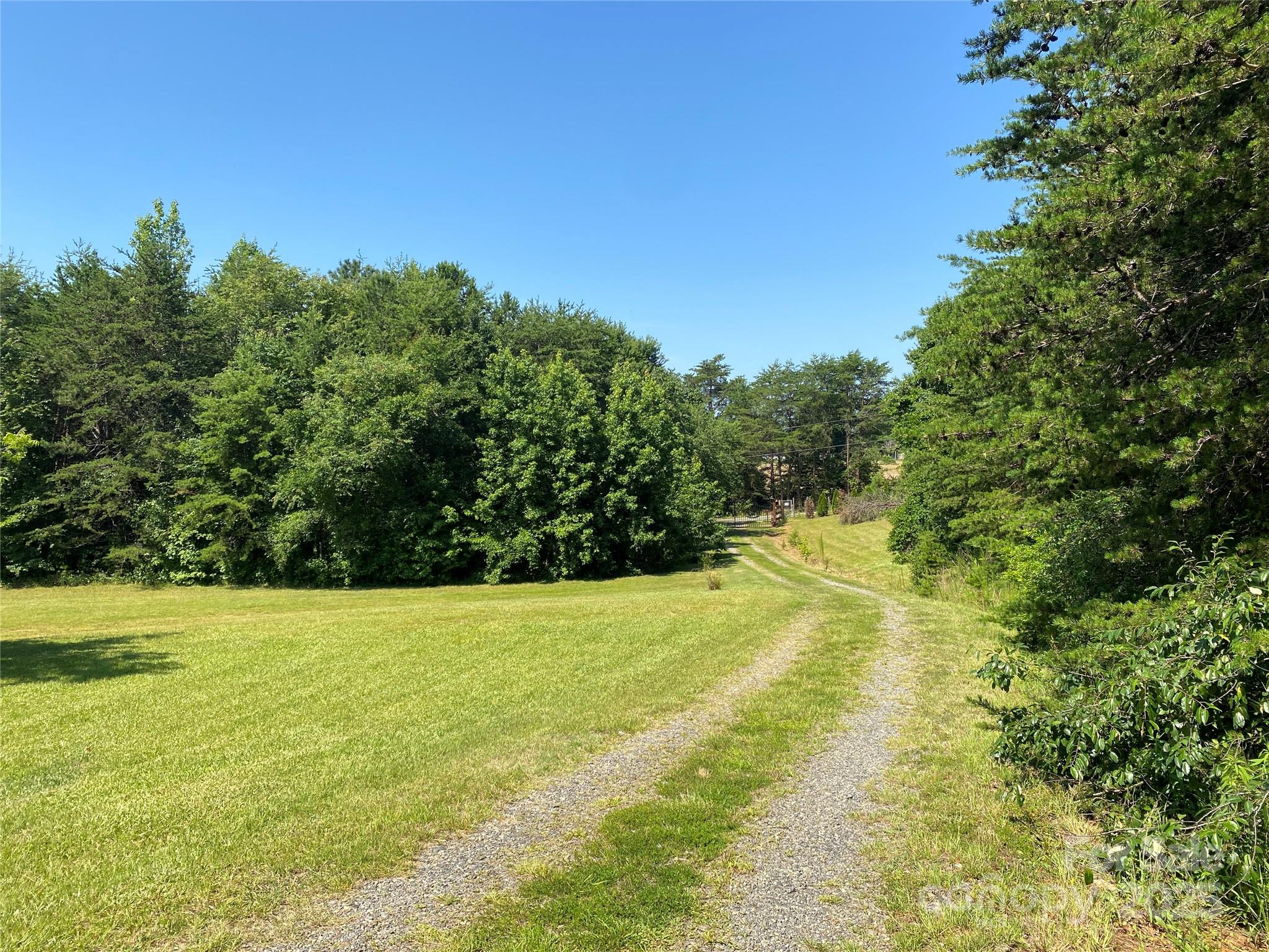 1180 Calton Road Bostic, NC 28018 - Photo 10 of 36 a view of a yard with a tree