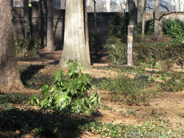 904 Cherokee Road, Unit 1 Charlotte, NC 28207 - Photo 15 of 15 Gallery Image 15
