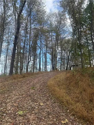 a view of dirt yard with trees