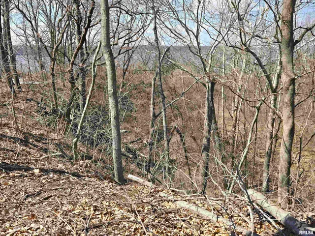 $195,000 | 766 East County Road 2110, Nauvoo, IL 62354