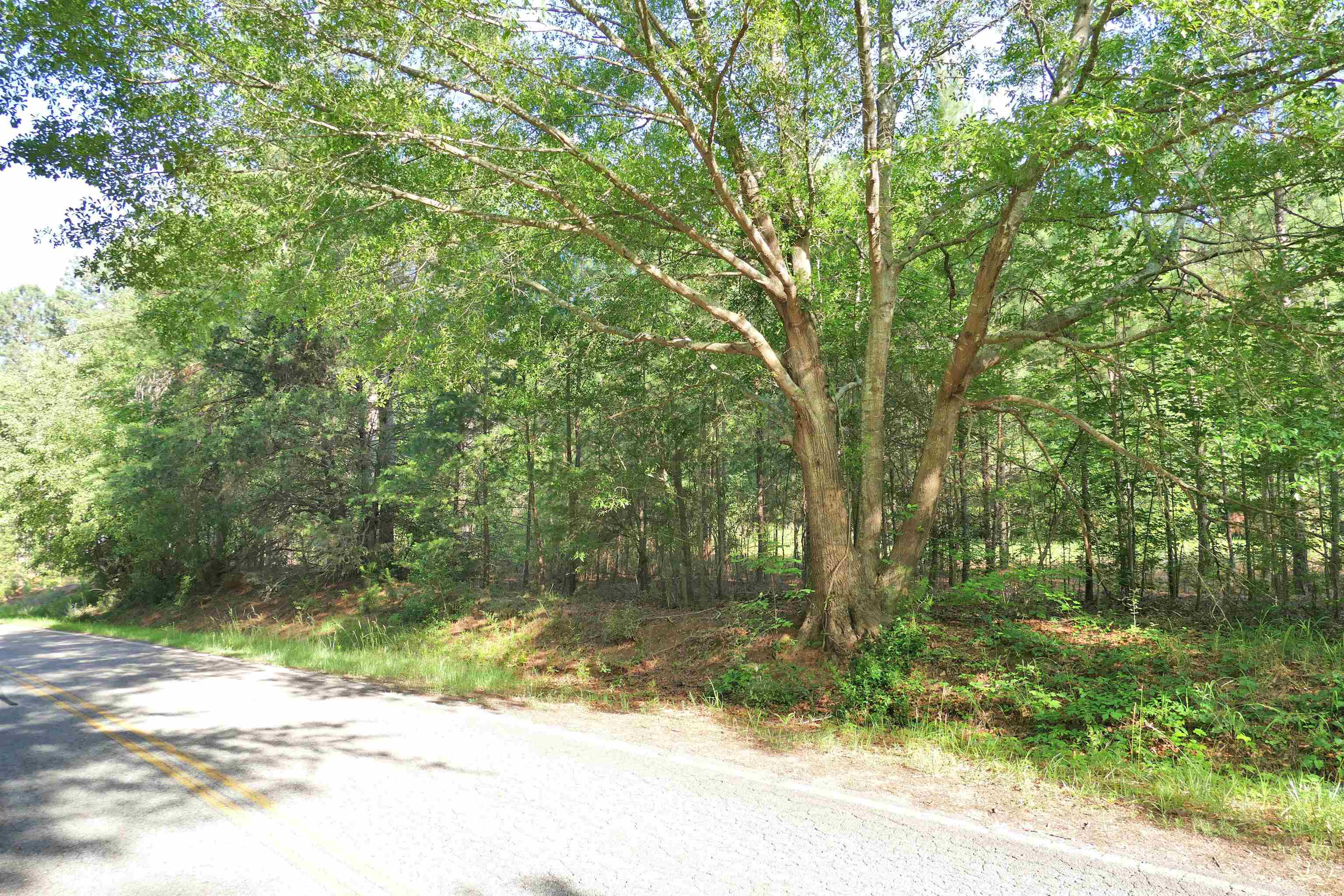 221 Coyl Road Gaffney, SC 29340 - Photo 5 of 12