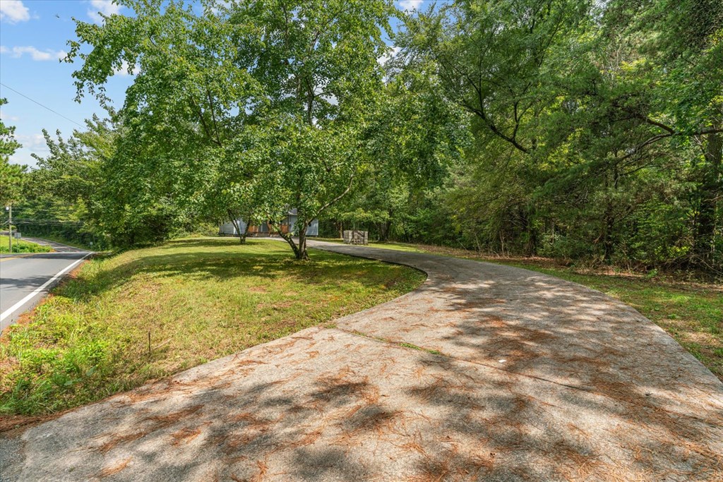 278 Leonard Bridge Road Chatsworth, GA 30705 - Photo 2 of 22 Gallery Image 2