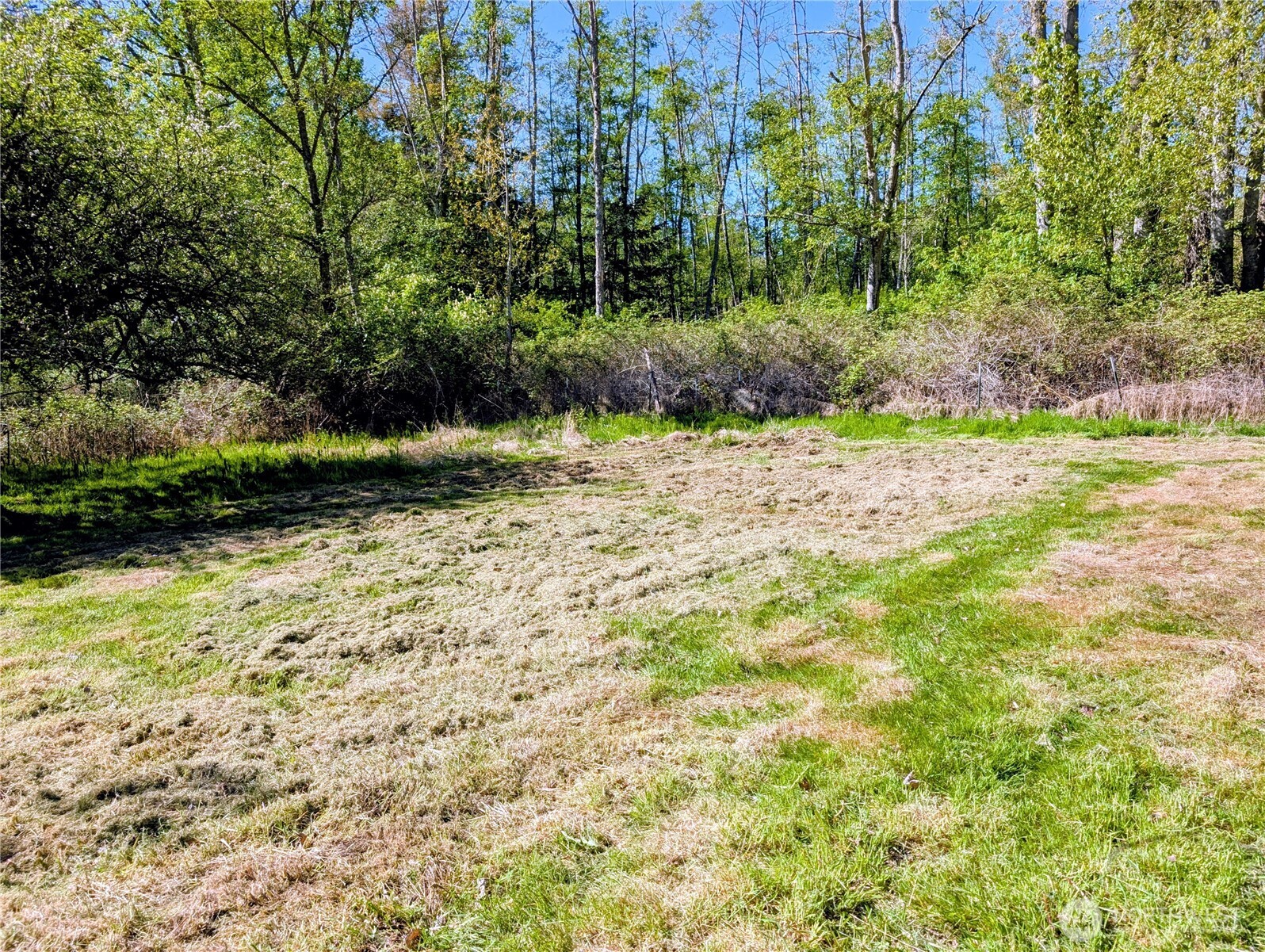 511 South Beach Road Point Roberts, WA 98281 - Photo 27 of 39 Gallery Image 27