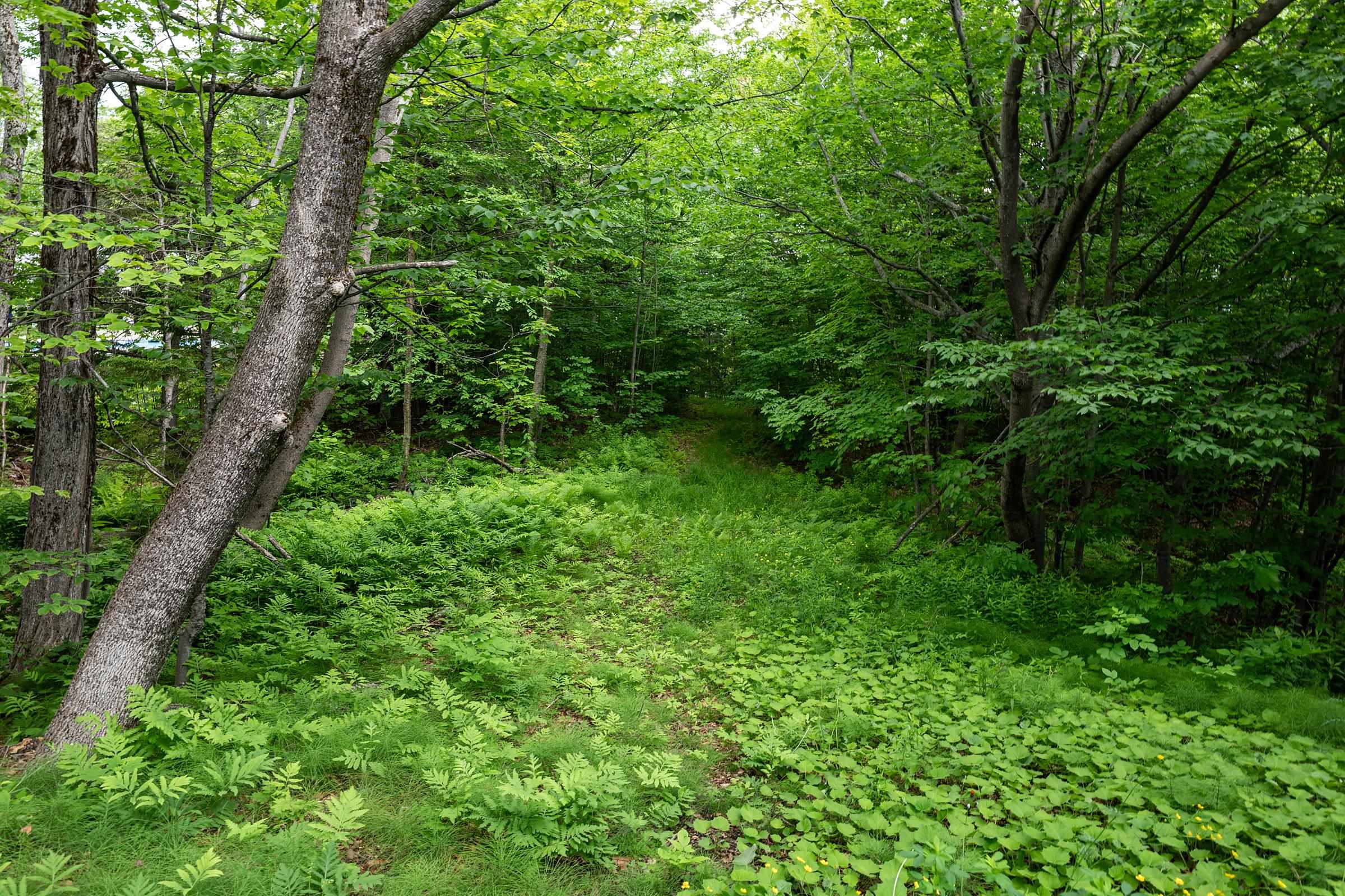 56 Shattarack Road, Unit D06 Stratton, VT 05155 - Photo 33 of 35