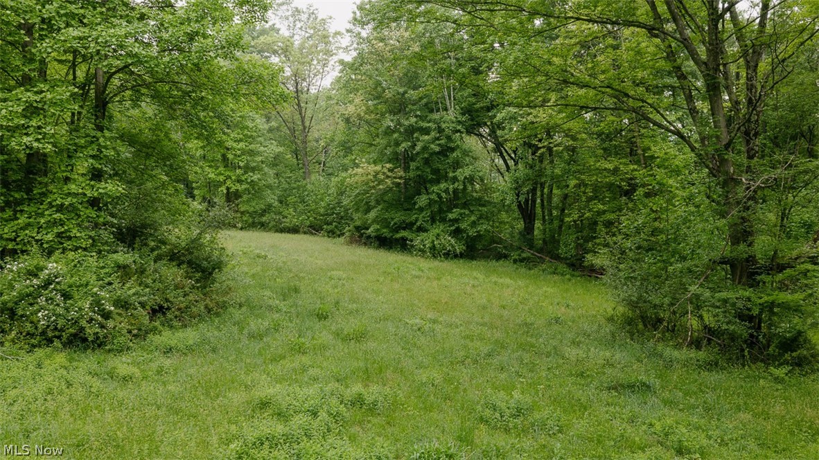 Chestnut Ridge Road Southeast Masury, OH 44438 - Photo 4 of 17