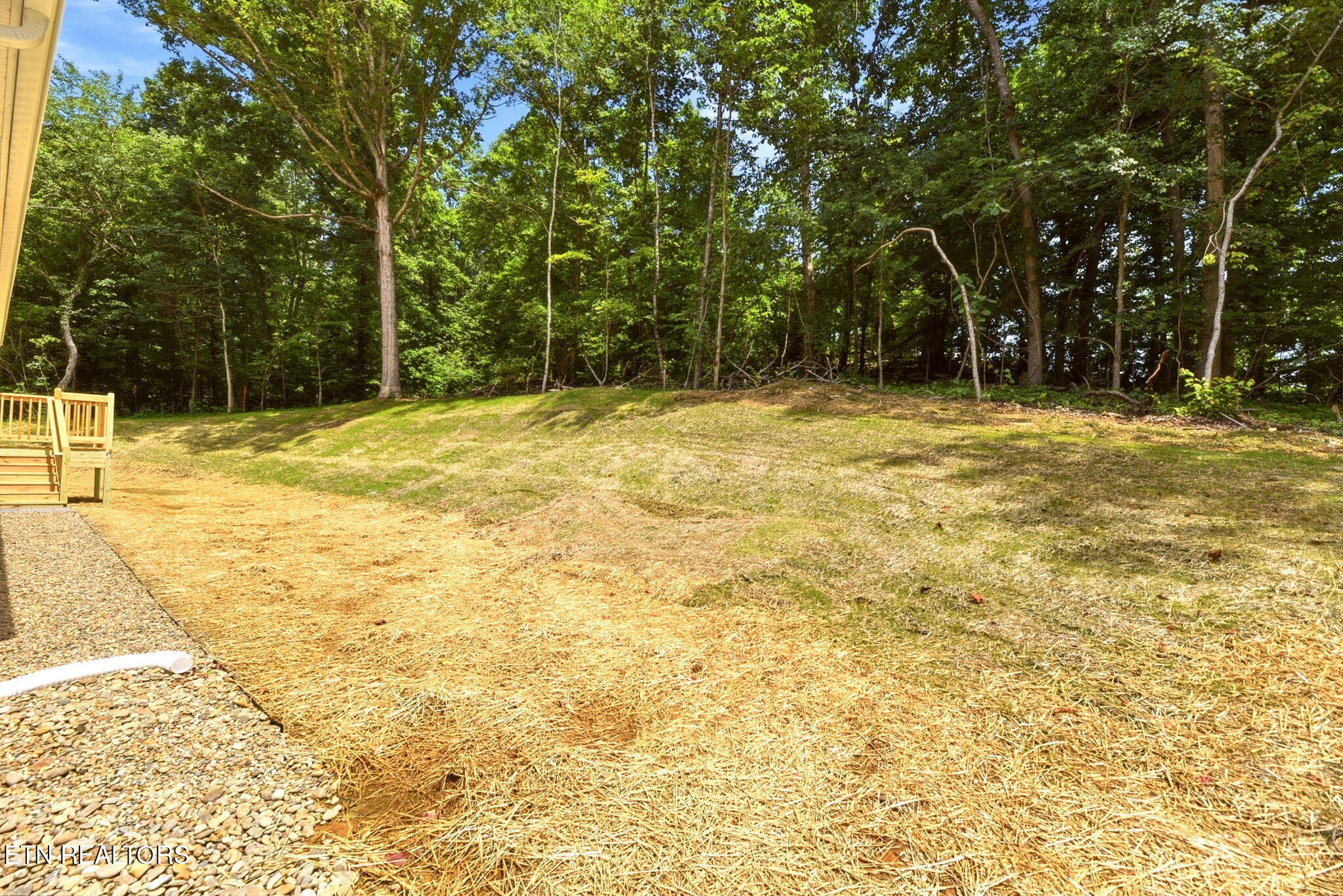 3334 Shipe Road Corryton, TN 37721 - Photo 18 of 20 27-web-or-mls-Shipe3334 (26)
