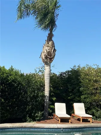 a vase of flowers sitting on a table with a garden
