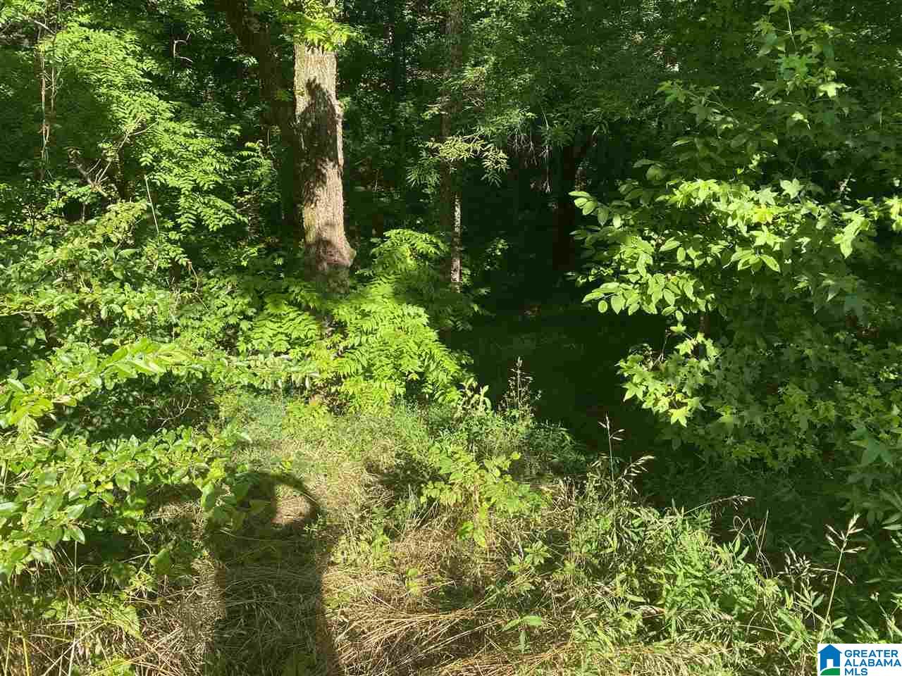 7582 County Road 19 Heflin, AL 36264 - Photo 29 of 30
