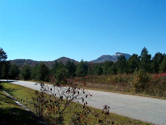 Lot A Ragsdale Road Cleveland, SC 29635 - Photo 1 of 6
