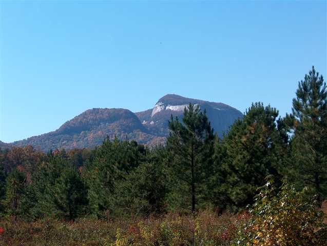 Lot A Ragsdale Road Cleveland, SC 29635 - Photo 2 of 6