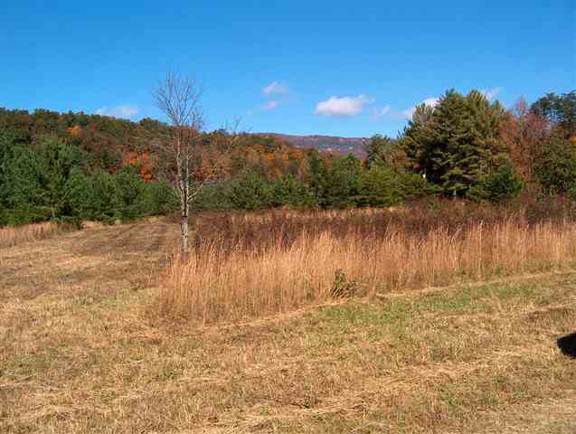 Lot A Ragsdale Road Cleveland, SC 29635 - Photo 3 of 6
