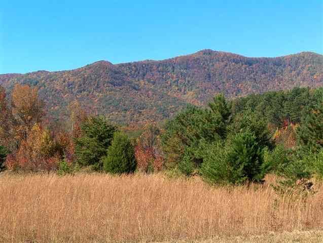 Lot A Ragsdale Road Cleveland, SC 29635 - Photo 4 of 6